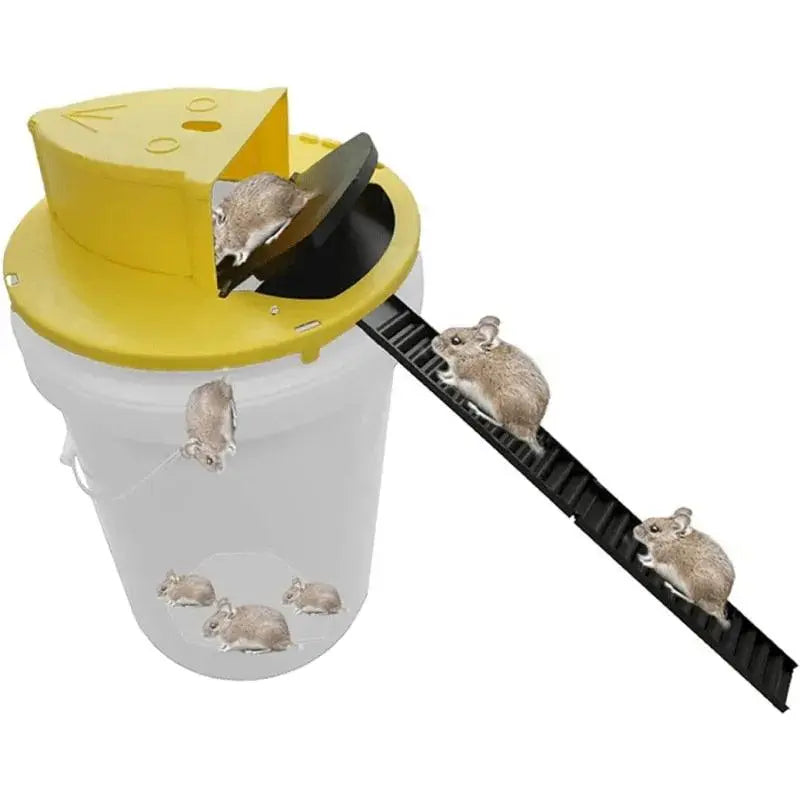A Melhor Ratoeira Inteligente Reutilizável - EcoTrap (Oferta Exclusiva + BRINDE)